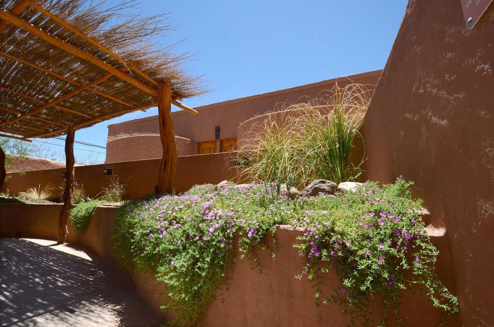 Hotel Pascual Andino San Pedro de Atacama Exterior photo